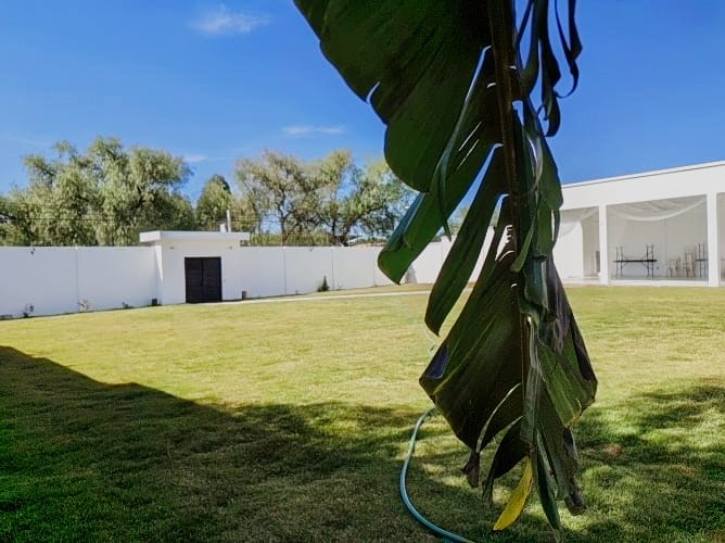 Bodas 150 personas